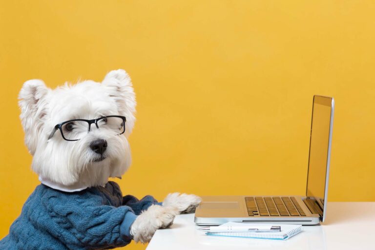 Dog at Laptop